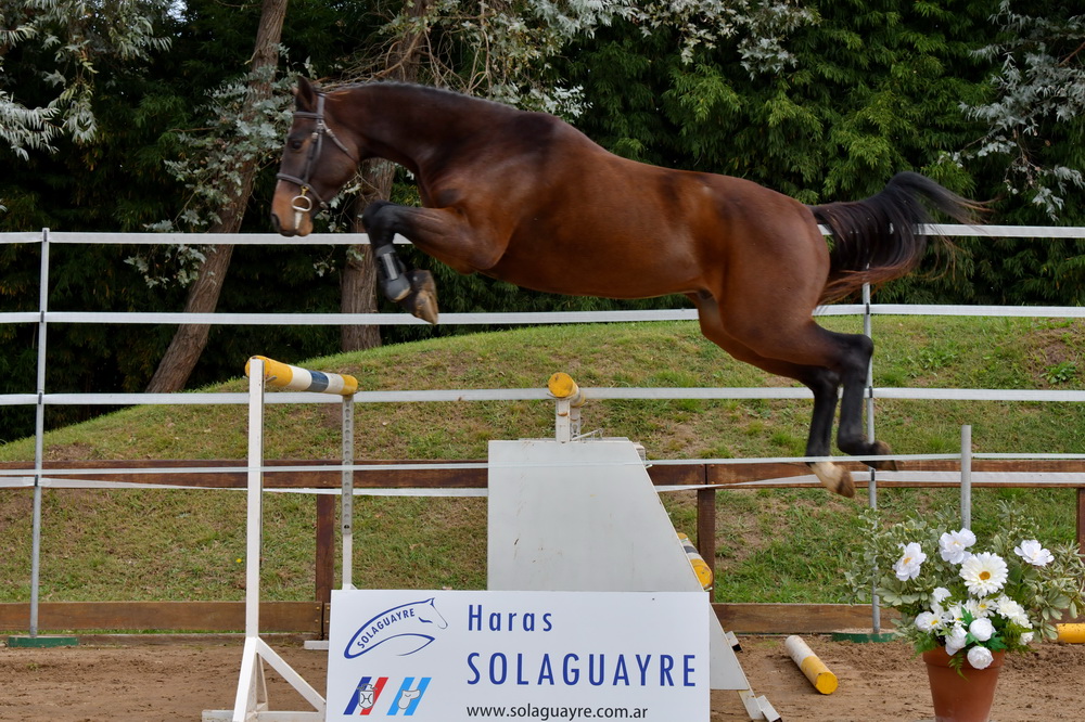 SOLAGUAYRE BRUNCH